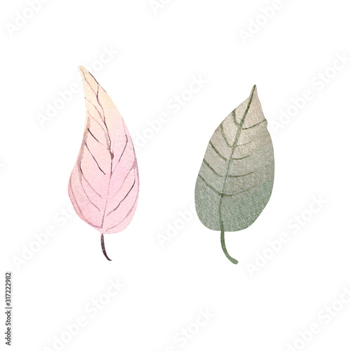 Autumn leaf watercolor illustration element decor plant