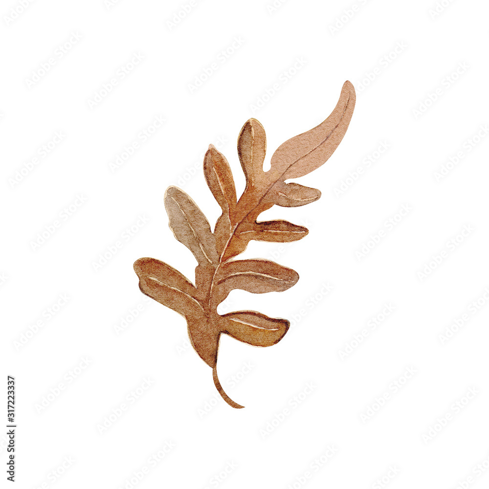 Fototapeta premium Autumn leaf branch watercolor illustration element decor plant
