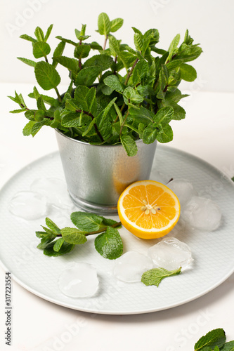 a bunch of fresh mint, lemon and ice