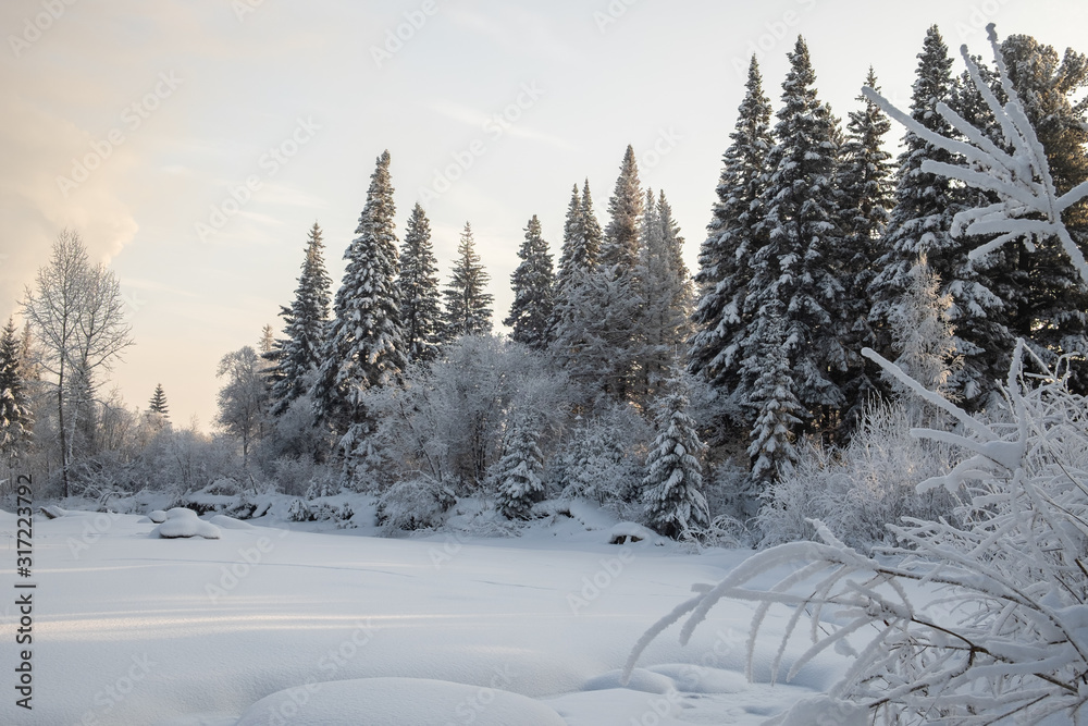 Winter