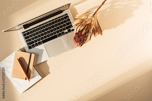 Fotografie Flat lay view of laptop, protea flower and notebook