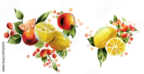 Fototapeta Naklejka Na Ścianę i Meble -  Lemon watercolor illustration.Manual composition.Big Set watercolor elements.