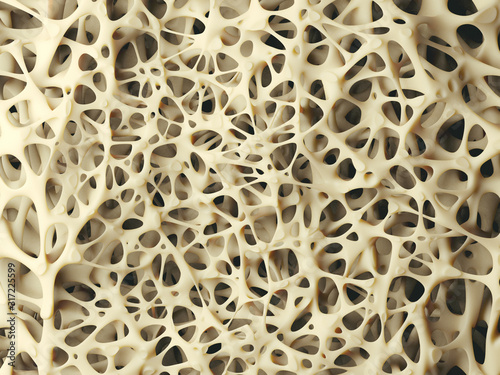 Realistic bone spongy structure close-up, healthy texture of bone, 3d illustration photo