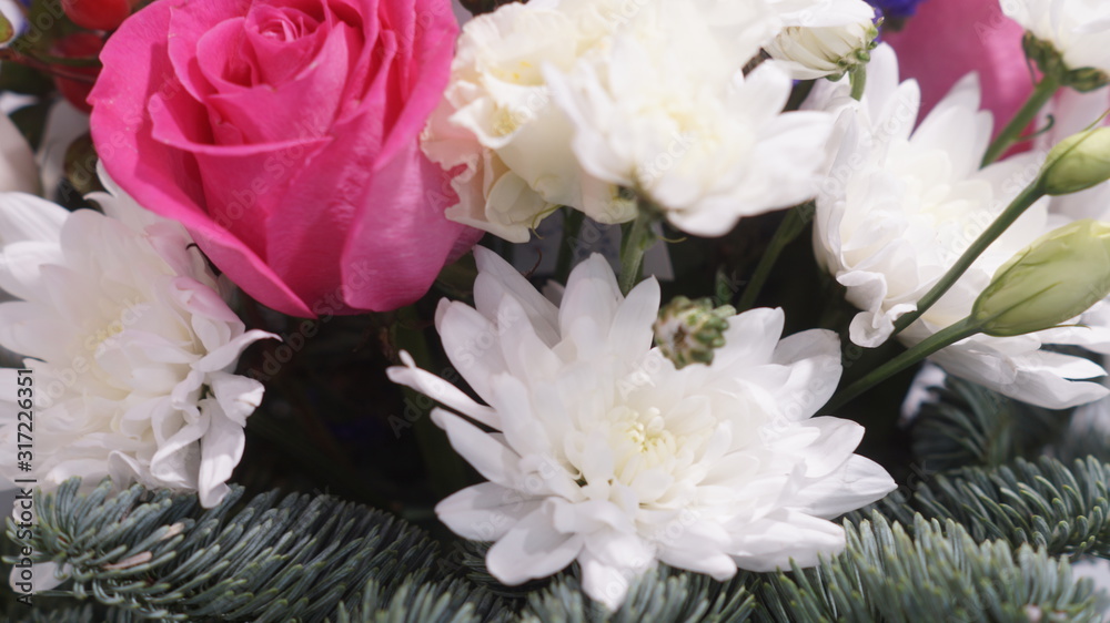 Fototapeta premium bright flowering garden plants