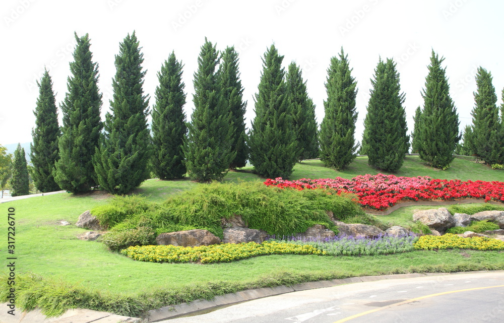 Beautiful flower garden on a hillside.