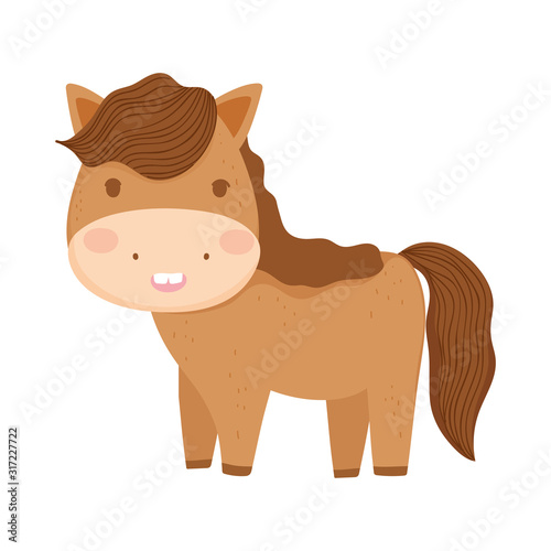 cute horse domestic farm animal cartoon