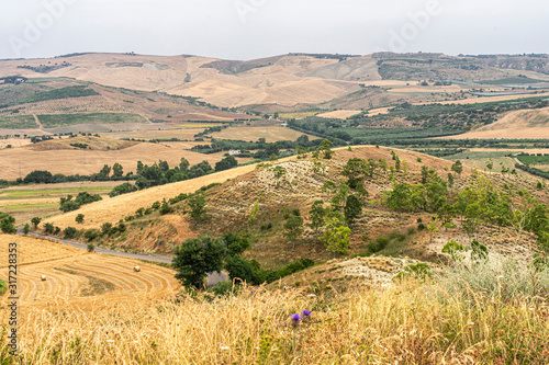 Rural landscape in Basilicata at summer © Claudio Colombo