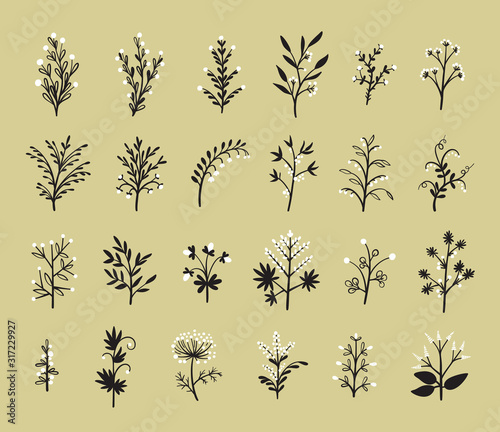 Floral Vector Set of Design Plant Elements. Doodle Branches with Leaves, Flowers and Berries