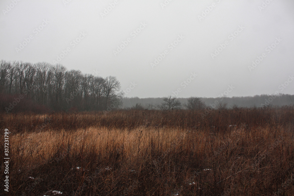 Ukrainian forest and steppe in winter when there is little snow. Open spaces with dry grass. Ukrainian forest and steppe in winter when there is little snow. Open spaces with dry grass.