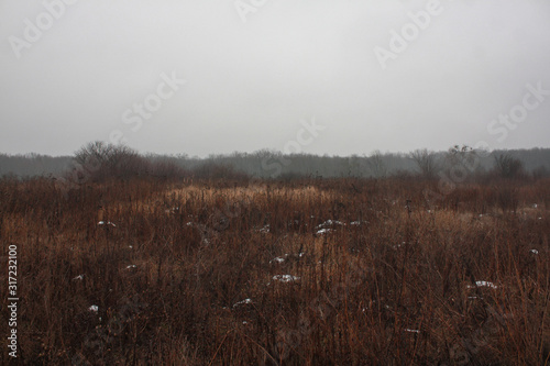 Ukrainian forest and steppe in winter when there is little snow. Open spaces with dry grass. © Tora Stark