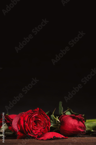 Withered rose on dark gray background and wooden table with fall petals and leaves, design concept of sad Valentine's day romance, broken up, copy,space. photo