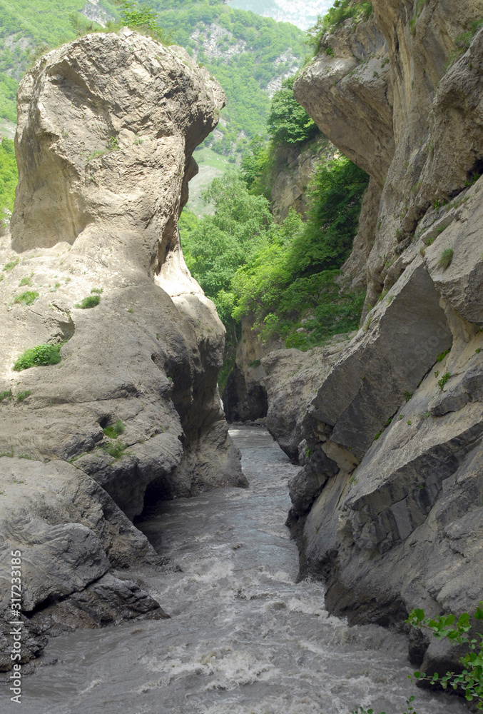 Obraz premium Argun River. Chechnya (Chechen Republic), Russia, Caucasus.