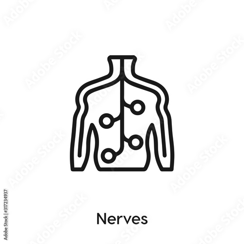 nerves icon vector sign symbol