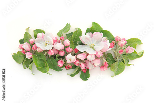Floral frame wreath of apple flowers with buds isolated on white. Apple spring flowers blossom..