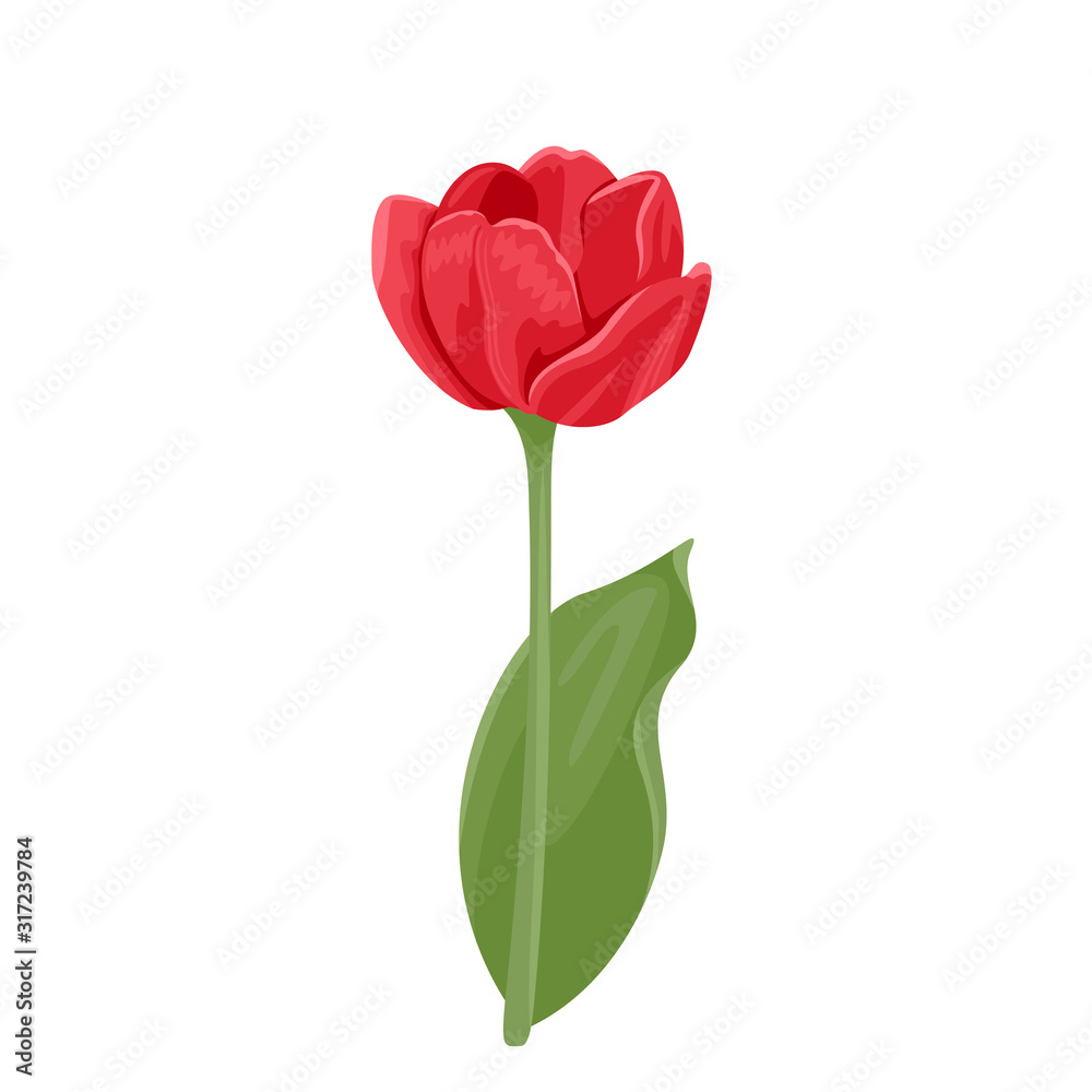 Blooming red tulip Isolated on white background. Vector illustration, icon. Spring bright flower in cartoon flat style. Blooming red tulip Isolated on white background. Vector illustration, icon. Spring bright flower in cartoon flat style.
