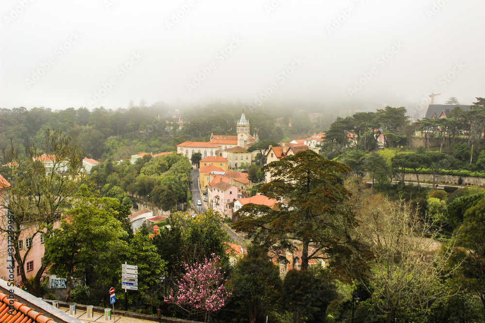 natural landscape with trees, fog and palaces
