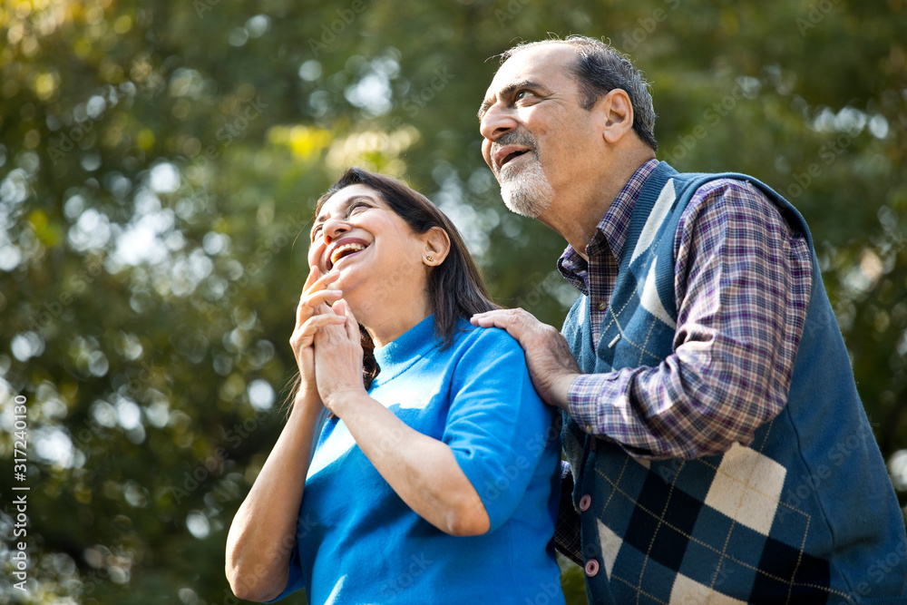 Fototapeta premium Senior couple admiring something at far end in park