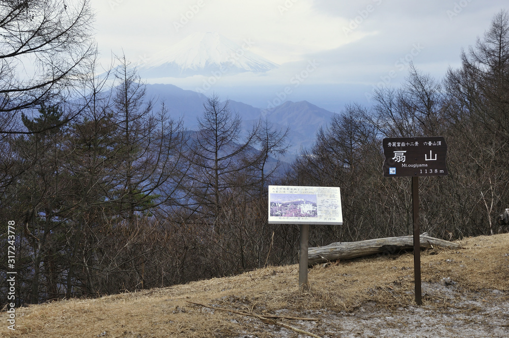 扇山より富士山