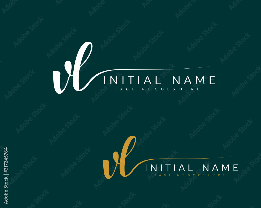 Fototapeta premium V L VL Initial handwriting logo vector. Hand lettering for designs.