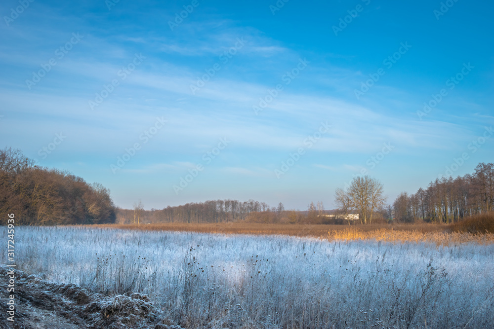 winter landscape near the forest winter landscape near the forest