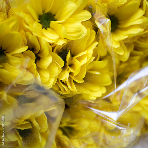 Yellow chrysanthemum balls stacked in large white box at the flower market