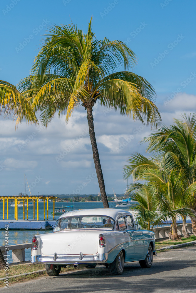 baby-blue classic cuban car on a road next to the sea with palm trees