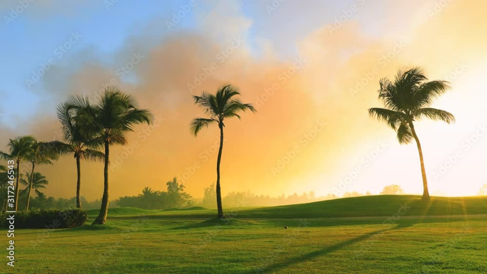 Golf course in the tropical island, beautiful sunset with palm trees silhouettes video Golf course in the tropical island, beautiful sunset with palm trees silhouettes video