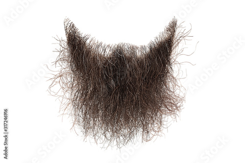 Disheveled brown beard isolated on white. Mens fashion