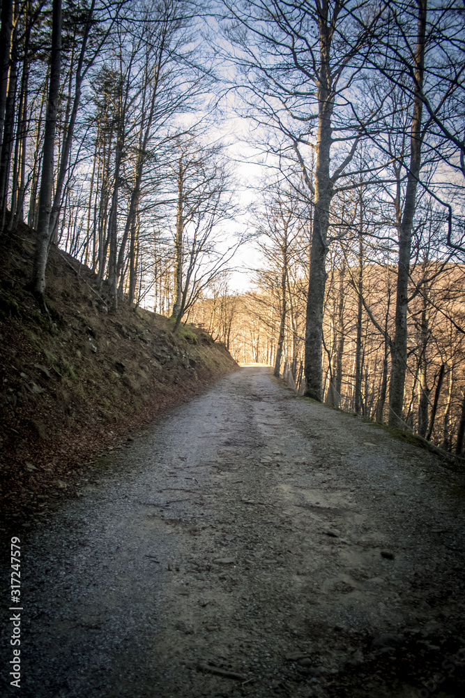 Fototapeta premium Mountain