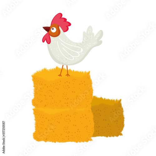 rooster on hay farm animal cartoon