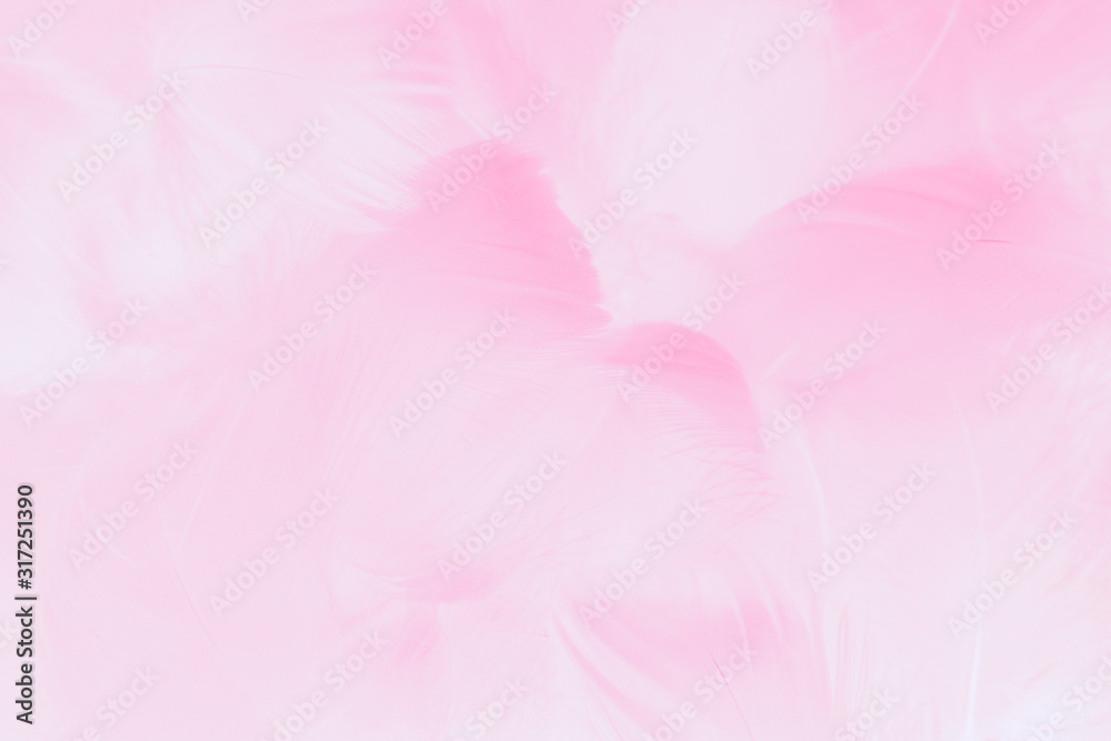 Beautiful abstract colorful white and pink feathers on white background and  soft white feather texture on white pattern and pink background, colorful  feather, pink banners Photos