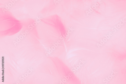 Beautiful abstract colorful white and pink feathers on white background and soft white feather texture on light pattern and light purple background, colorful feather, purple banners