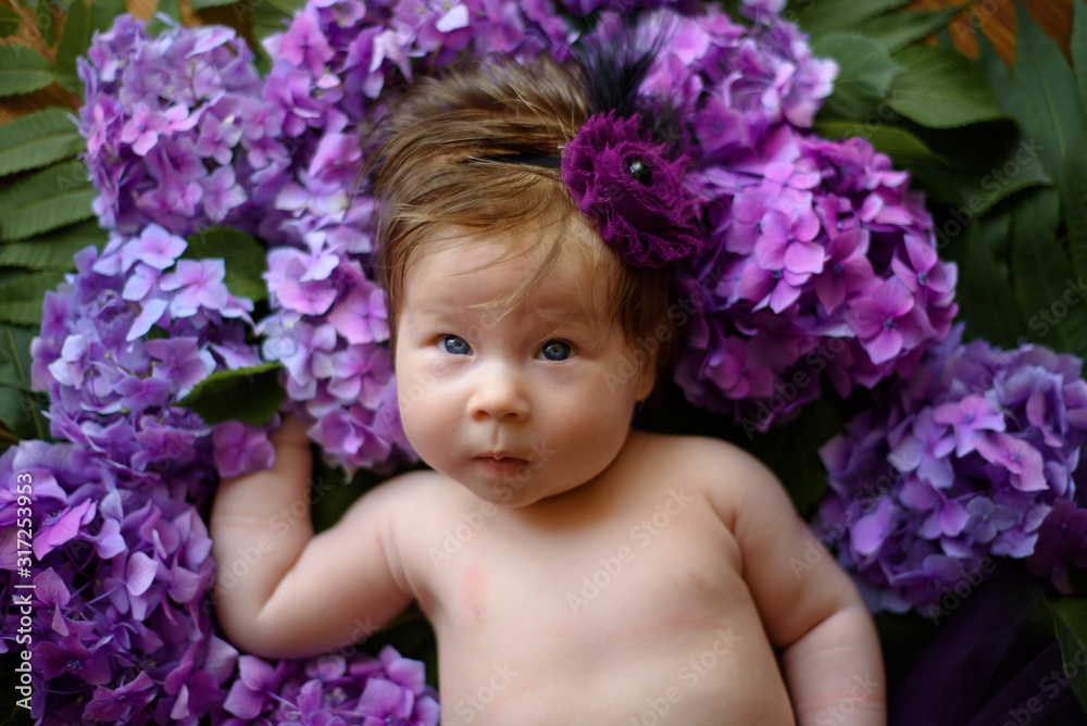 Portrait of a cute little girl (six months old). Baby lies in the colors of purple hydrangea Portrait of a cute little girl (six months old). Baby lies in the colors of purple hydrangea