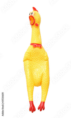 Shrilling chicken toy isolated on white background