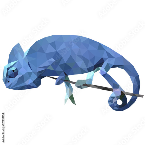 Colorful polygonal style design of wild reptile blue chameleon