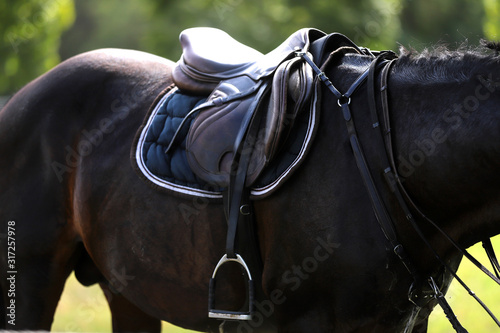 Closeup of a horseback under old leather jumper saddle on competition. Equestrian sport background.