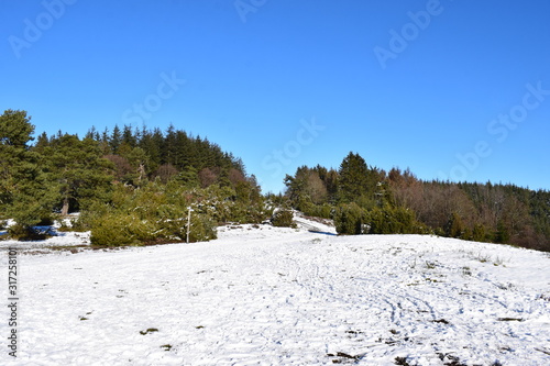 Winterwunderland in der Berheide Eifel photo