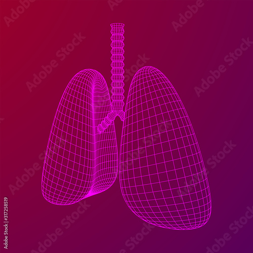 Lungs with trachea bronchi internal organ human. Pulmonology medicine science technology concept. Wireframe low poly mesh vector illustration