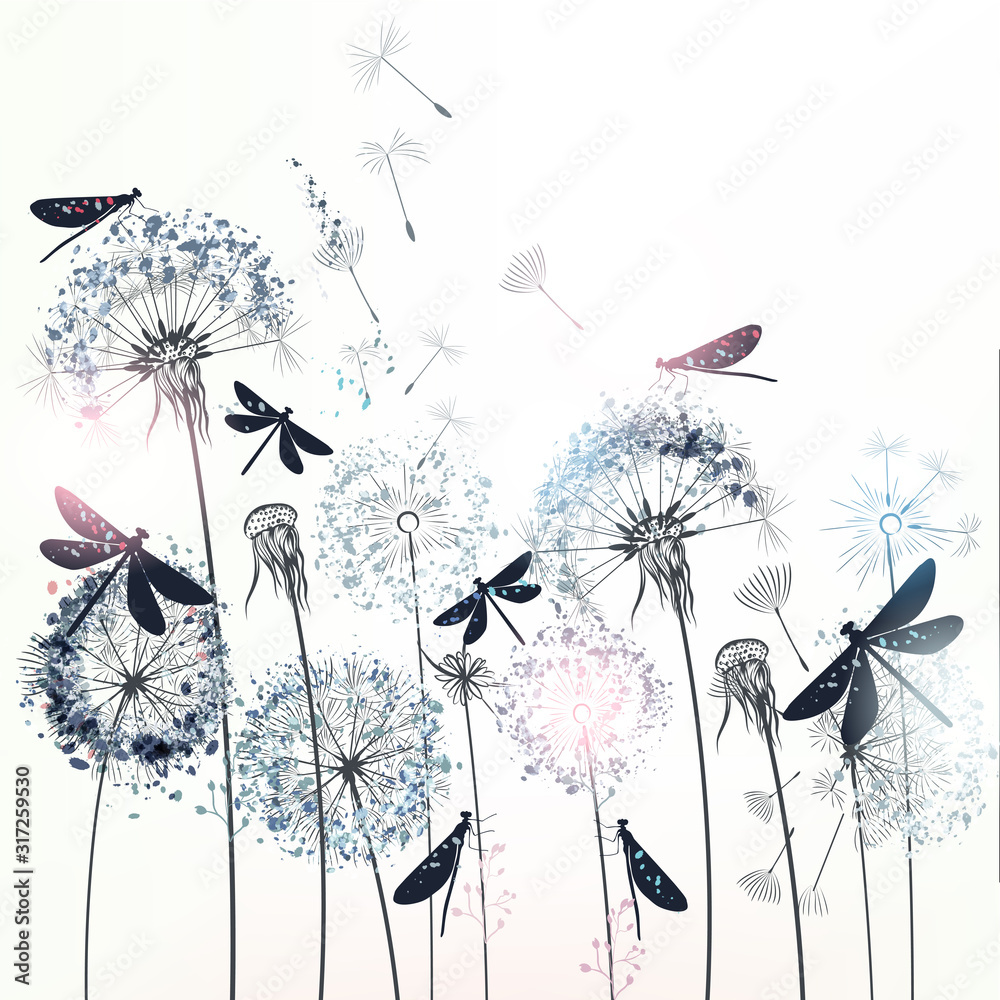 Fototapeta Elegant vector illustration with dandelions and dragonflies