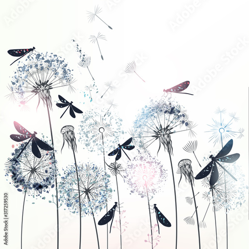 Elegant vector illustration with dandelions and dragonflies