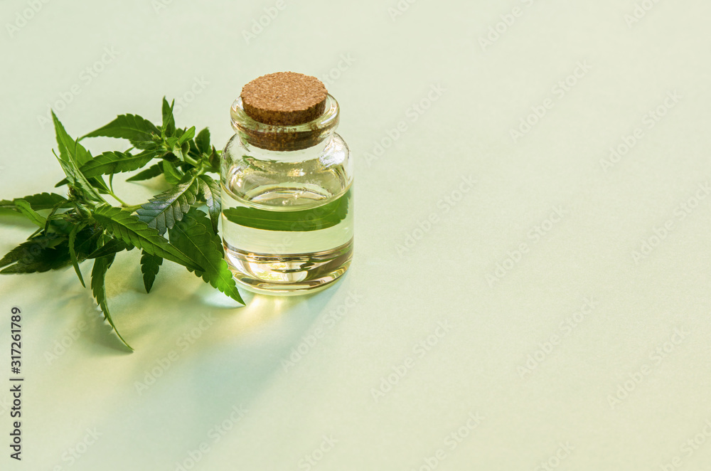 Cannabis green fresh leaves close-up and oil in bottle on paper background. Hemp grass plant foliage for medicine, copy space Cannabis green fresh leaves close-up and oil in bottle on paper background. Hemp grass plant foliage for medicine, copy space