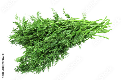 Isolated dill. Green fresh fennel bunch isolated on white background
