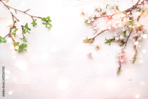 Spring flowers. Apricot flowers on white wooden background. Flat lay  top view.