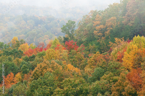 Autumn landscape from the Blue Ridge Parkway, North Carolina, USA