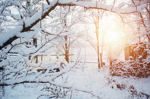Winter in the garden. All trees and branches are covered in fresh snow. Dawn, the beginning of a new day