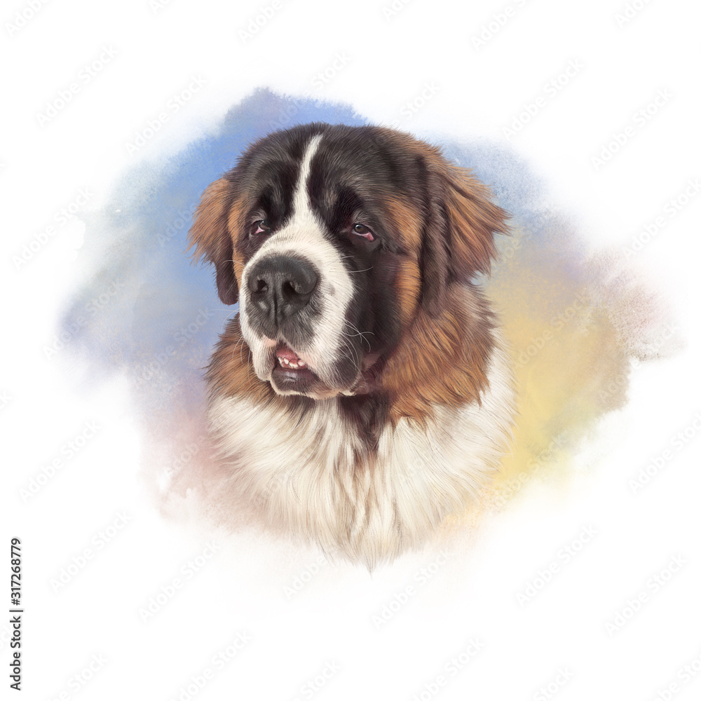 The St. Bernard. Powerful Dog Breeds. Realistic Portrait of Moscow Watchdog on watercolor background. Animal art collection: Dogs. Hand drawn pet illustration. Good for print T-shirt, pillow, pet shop The St. Bernard. Powerful Dog Breeds. Realistic Portrait of Moscow Watchdog on watercolor background. Animal art collection: Dogs. Hand drawn pet illustration. Good for print T-shirt, pillow, pet shop