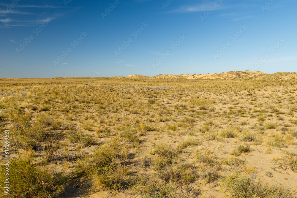 desert landscape, steppe in Kazakhstan, dry grass and sand dunes