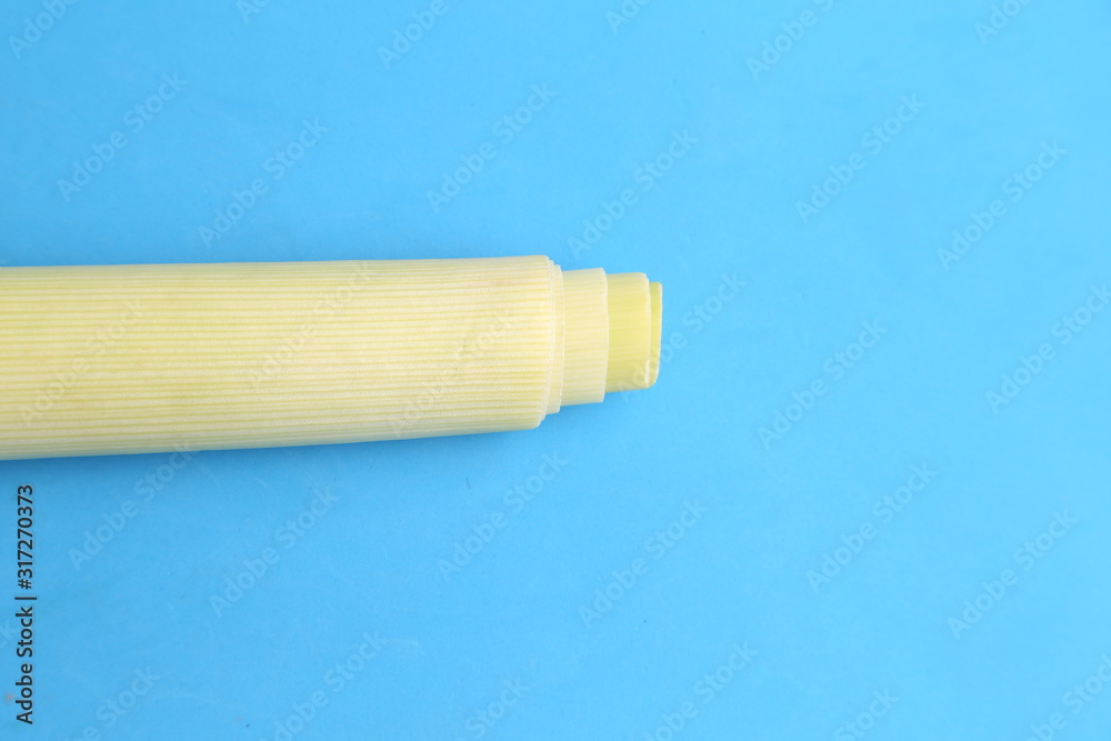 delicious leek in color background delicious leek in color background