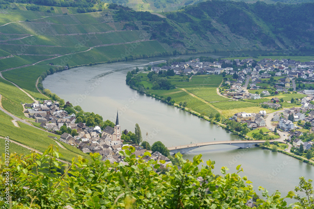 Fototapeta premium World famous wine town Piesport on the river Moselle, Rhineland-Palatinate, Germany