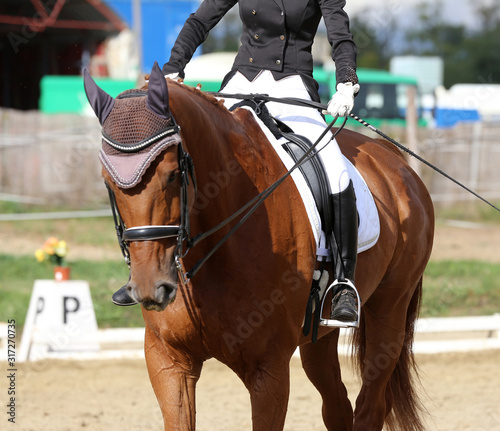 Closeup of a horseback under old leather jumper saddle on competition. Equestrian sport background © acceptfoto